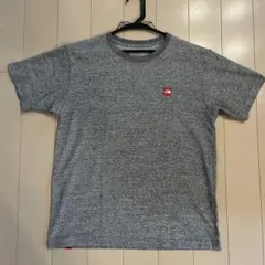 THE NORTH FACE Tシャツ グレー M