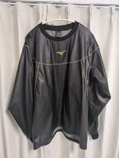 Item thumbnail for item cbfe303e-ba6c-48e9-97c0-73ee3c3030e9