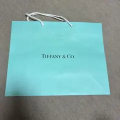 Tiffany&co ショッパー（大）のサムネイル