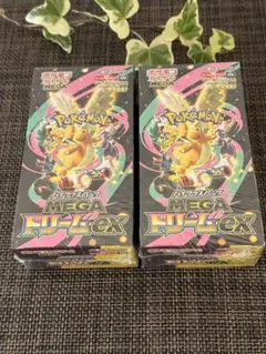 新品未開封シュリンク付き メガドリームex2BOX