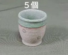 青磁水玉冷酒盃 ５個（美濃焼）