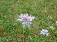 恭子様 リクエスト 2点 まとめ商品