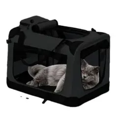 Item thumbnail for item 911f2e8d-6c0a-44c6-8e6c-c9e1a219135f