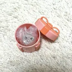 SKZOO ぷくっとバースデークリアリング ジニレット 沼 ガチャ