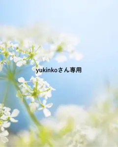 yukinkoさん専用