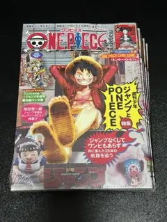 ONE PIECE magazine 20号 新品未使用 プロモカード付き