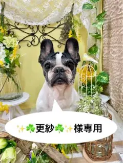 ✨☘️更紗☘️✨様 リクエスト 2点 まとめ商品