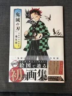 『鬼滅の刃』吾峠呼世晴画集―幾星霜―