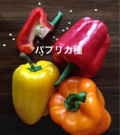 ゆーちん様 リクエスト 2点 まとめ商品
