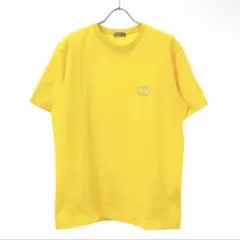 クリスチャンディオール　CDアイコン　tシャツ