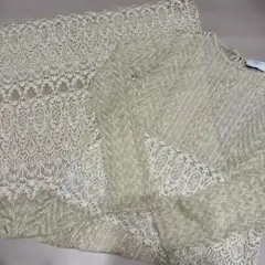 zarawoman 総レース　ロングワンピース　長袖　M アイボリー