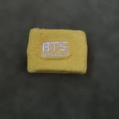 Item thumbnail for item 84b204f9-03b7-42c4-ad54-868bf5c6bab4