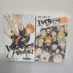 新品/未開封　ハイキュー!! 排球　 極 ！　コンプリートガイドブック排球本！
