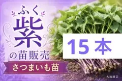 2026年最新】栗かぐやの人気アイテム - メルカリ