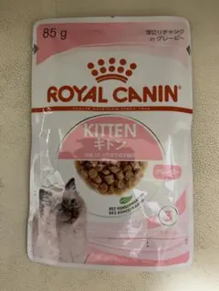 Item thumbnail for item 2f5b126b-1723-44a2-8939-7fb91ee703f7