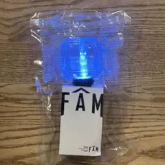 【値下不可】【即購入OK】timeleszペンライト