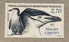 azure様 リクエスト 3点 まとめ商品