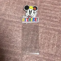 ミニー チケットケース　東京ディズニーランド　レア　レトロ