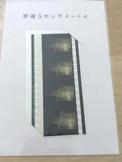 2025年最新】秒速5センチメートル フィルムの人気アイテム
