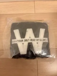 AAA TOUR 2017 WAY OF GLORY カイロ