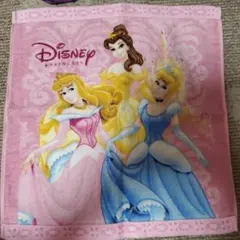 ★ ディズニーストア プリンセス ミニタオル