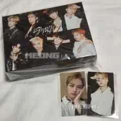 Stray Kids Scars/ソリクン タワレコ抽選会 当選全員チェキ - メルカリ