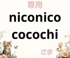 専用
