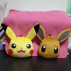 ポケモン ピカチュウとイーブイ ポーチ