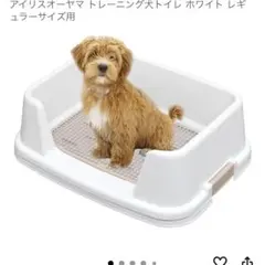 Item thumbnail for item e776835f-49b5-4521-acc5-39b1ff8e4ace