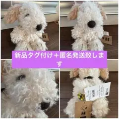 スヌーピー ミュージアム　アンディ　snoopy ゆるくた　ぬいぐるみ Andy