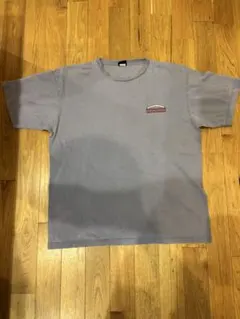 パタゴニアTシャツ