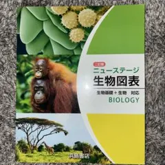 2026年最新】生物図表の人気アイテム - メルカリ