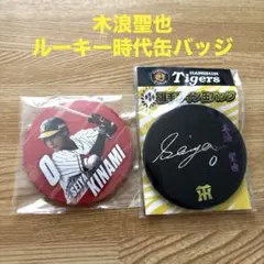 Item thumbnail for item 068d5703-dcbd-4748-889a-d3cb8f62754a