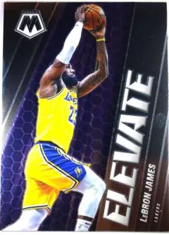 Item thumbnail for item 689b9101-567e-467a-a94d-7da0eeed80a4