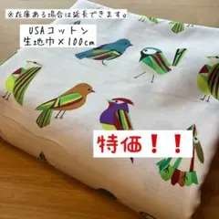 《USAコットン》カラフルな鳥 鳥柄 とり トリ ユニーク