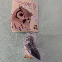 フクロウ マーカーチャーム　メガネフクロウ