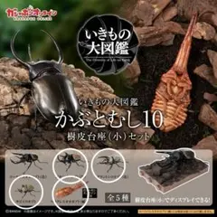 いきもの大図鑑　かぶとむし10　オンライン版