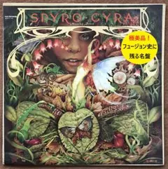 Fusion史に残る名盤Spyro Gyra「Morning Dance」LP