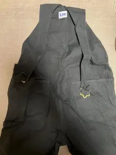 Item thumbnail for item 3a1fdfce-b86b-4db3-b9f0-9e7666c60e85