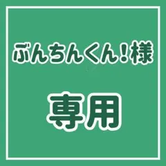 ぶんちんくん！様専用ページ