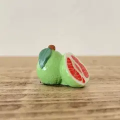 【匿名配送】ヴィンテージ　フェーブ　柑橘類⑤