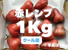 まもなく終了！〈クール便〉※希少 赤レンブ 1Kg(傷あり品)のサムネイル
