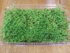 チガー様 リクエスト 2点 まとめ商品