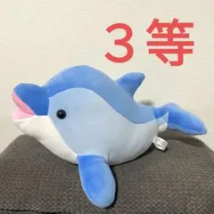 神戸須磨水族館 ドルフィンくじ イルカ ３等 約36cm もちもち m3