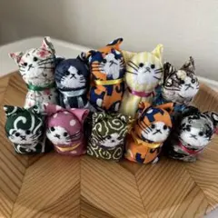 猫セット