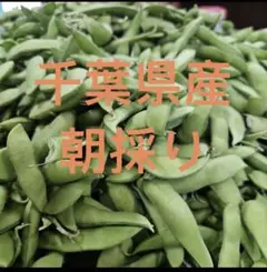 7/6収穫】枝豆 1kg A品 朝採り 当日発送 新潟系14号 農家直送 - メルカリ