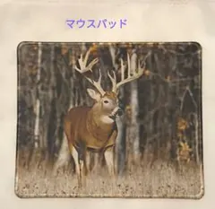 Item thumbnail for item 42c72e30-1ea0-4c1d-a638-4da2dedf689c