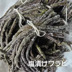 新物8年 徳島産肉厚乾燥ぜんまい 超極太 上物 100g 山菜ゼンマイ 野菜