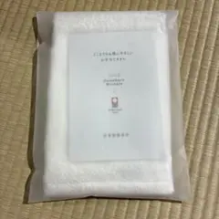 Item thumbnail for item 7afd5544-915b-4e9f-9680-7c8e98cfc79d