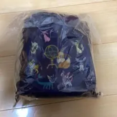 ポケットモンスター　プレミアム巾着付ブランケット　イーブイ